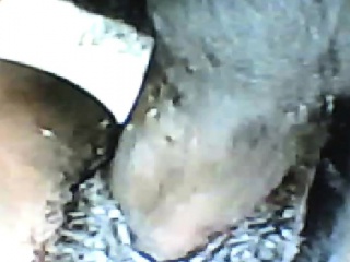 Verlene from 1fuckdatecom – Vocal ebony girl takes bbc