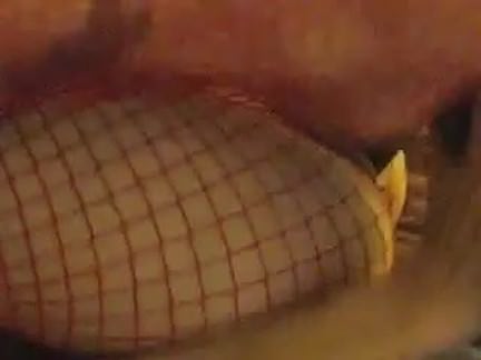Bbc fucks and creampies white d 1fuckdatecom