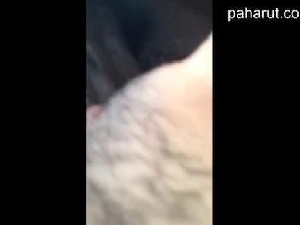BBC in Wet Pussy