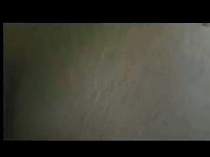 slutty bbw wife takes bbc