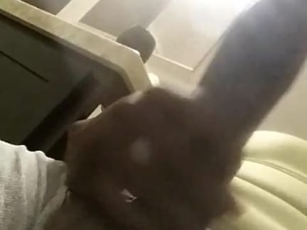 8.5in and thick of bbc