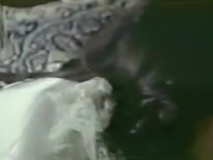 Prissy Brunette get fucked by BBC